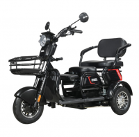 Электротрицикл WHITE SIBERIA SIBTRIKE 2000W
