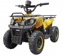 Квадроцикл GreenCamel Гоби K45 (36V 800W R6 Цепь) быстросъем, ножной тормоз