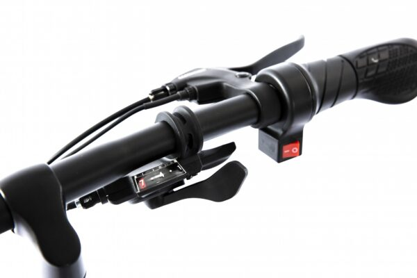 Электровелосипед ELBIKE GANGSTAR Elite (C23)