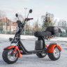 Электротрицикл WHITE SIBERIA IKRA 5000W RED