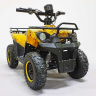 Детский электроквадроцикл GreenCamel Гоби K45 800W R6 12Ah
