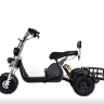Электротрицикл IKINGI Cargo-Trike 1000W